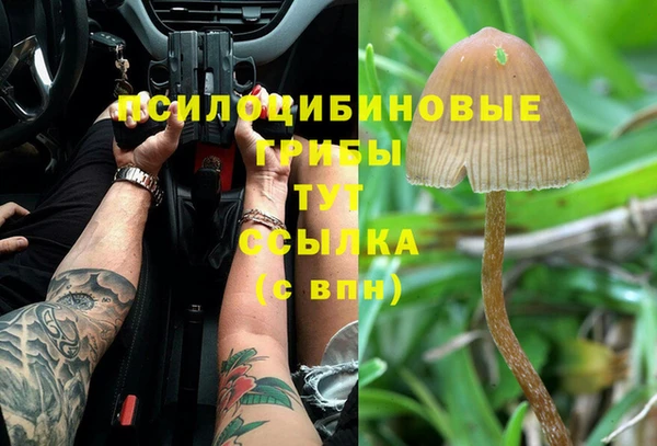 jwh Козельск
