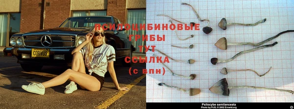 скорость mdpv Козловка