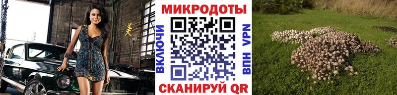 Купить где  Великий Устюг  Галлюциногенные грибы Psilocybine cubensis 